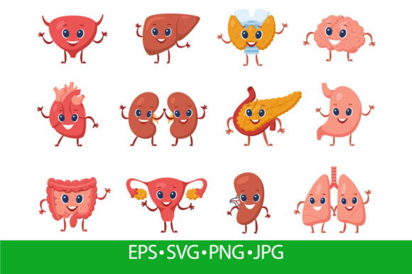 Cute Internal Organ with Funny Faces Graphics & Illustrations Review